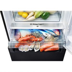 10049098-tu-lanh-panasonic-inverter-380l-nr-bx421wgkv-5_twe8-8f_a54aee0529cd434b83f5816aa602b653.jpg