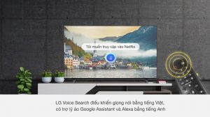 nanocell-lg-65nano75tpa-090621-0518057_b348385e54294a4193773e0fc6ab2f2a.jpg