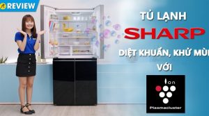 vi-vn-thumbvideo_ae50fa884c384591839e917fb668d01e.jpg