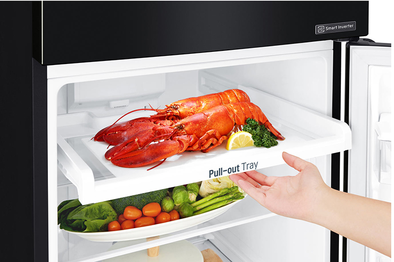 Tủ lạnh LG Inverter 266 lít GV-B262BL