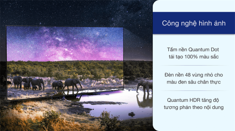 8-800×447-1_e23b147ba90d409ab0f10dc4f281a7fe.png