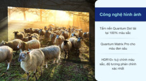 neo-qled-8k-samsung-qa65qn800a-150421-0315321_e4c72ee7667541248399f0805b288731.jpg
