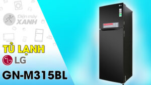 vi-vn-tu-lanh-lg-gn-m315bl_2948fc81aa6643529989845a916a5ac9.jpg